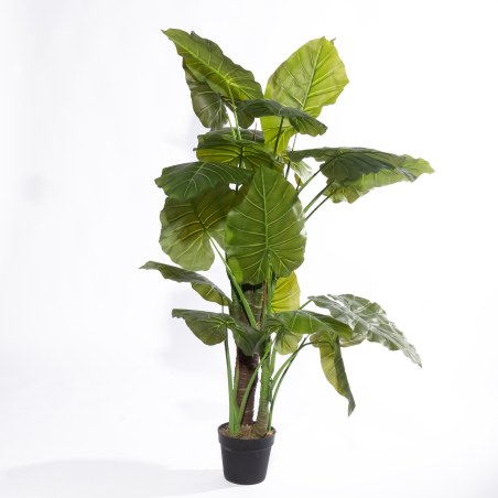 Supergreens Τεχνητό Δέντρο Αλοκάσια "Spear" Πράσινο 150 εκ.