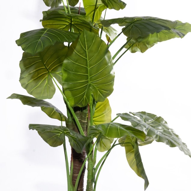 Supergreens Τεχνητό Δέντρο Αλοκάσια "Spear"...