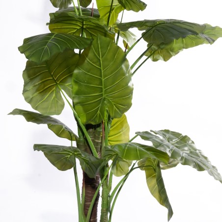 Supergreens Τεχνητό Δέντρο Αλοκάσια "Spear" Πράσινο 150 εκ.