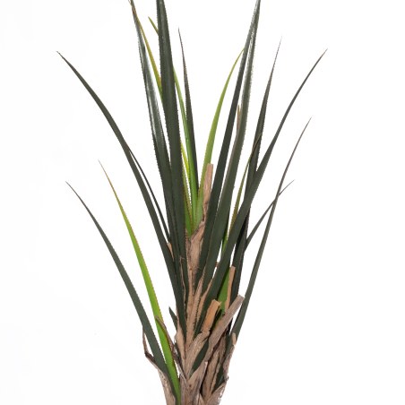 Supergreens Τεχνητό Δέντρο Αγαύη "Succulent" 140 εκ.