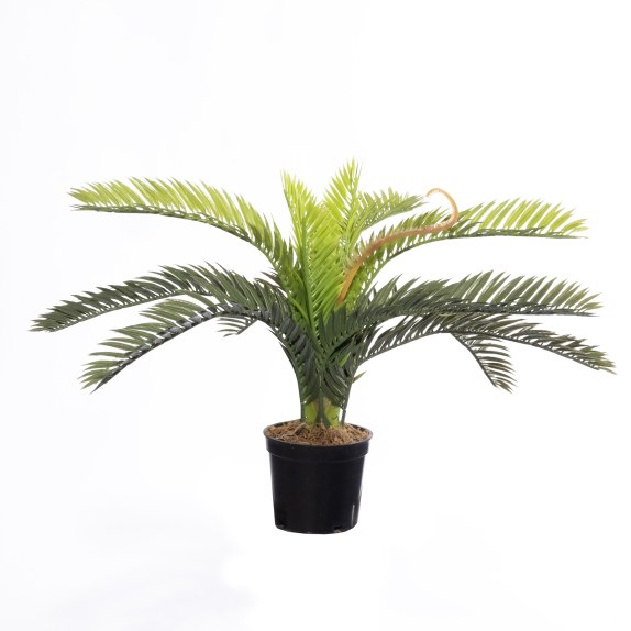 Supergreens Τεχνητό Φυτό Φοινικόθαμνος "Cycas" Πράσινο 25...