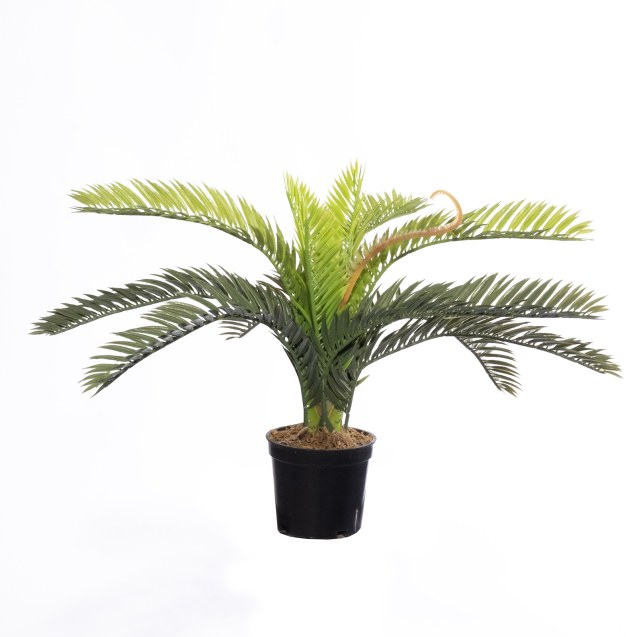 Supergreens Τεχνητό Φυτό Φοινικόθαμνος "Cycas"...