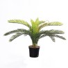 Supergreens Τεχνητό Φυτό Φοινικόθαμνος "Cycas" Πράσινο 25 εκ.