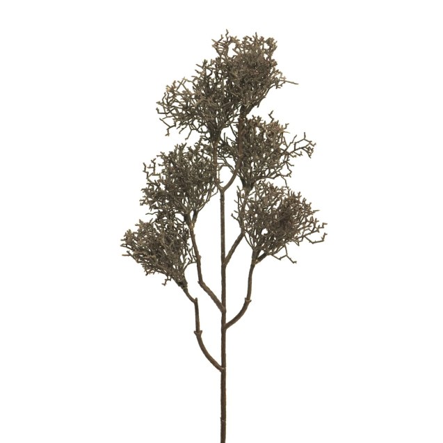 Supergreens Τεχνητό Κλαδί Κοράλι Καφέ 55 εκ.