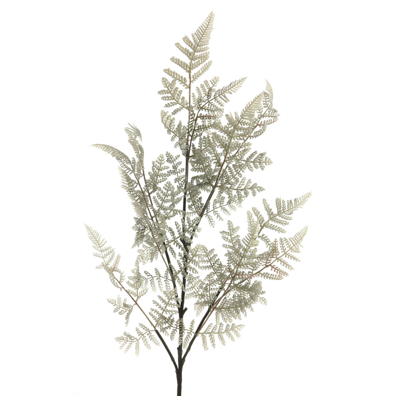 Supergreens Τεχνητό Κλαδί Φτέρη Γκρι 89 εκ.
