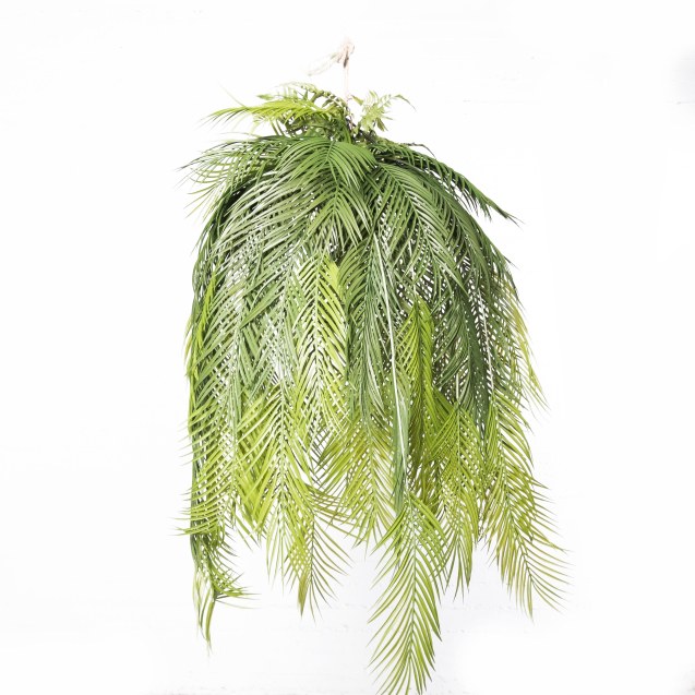 Supergreens Τεχνητή Κρεμαστή Ρίζα/Φωτιστικό...