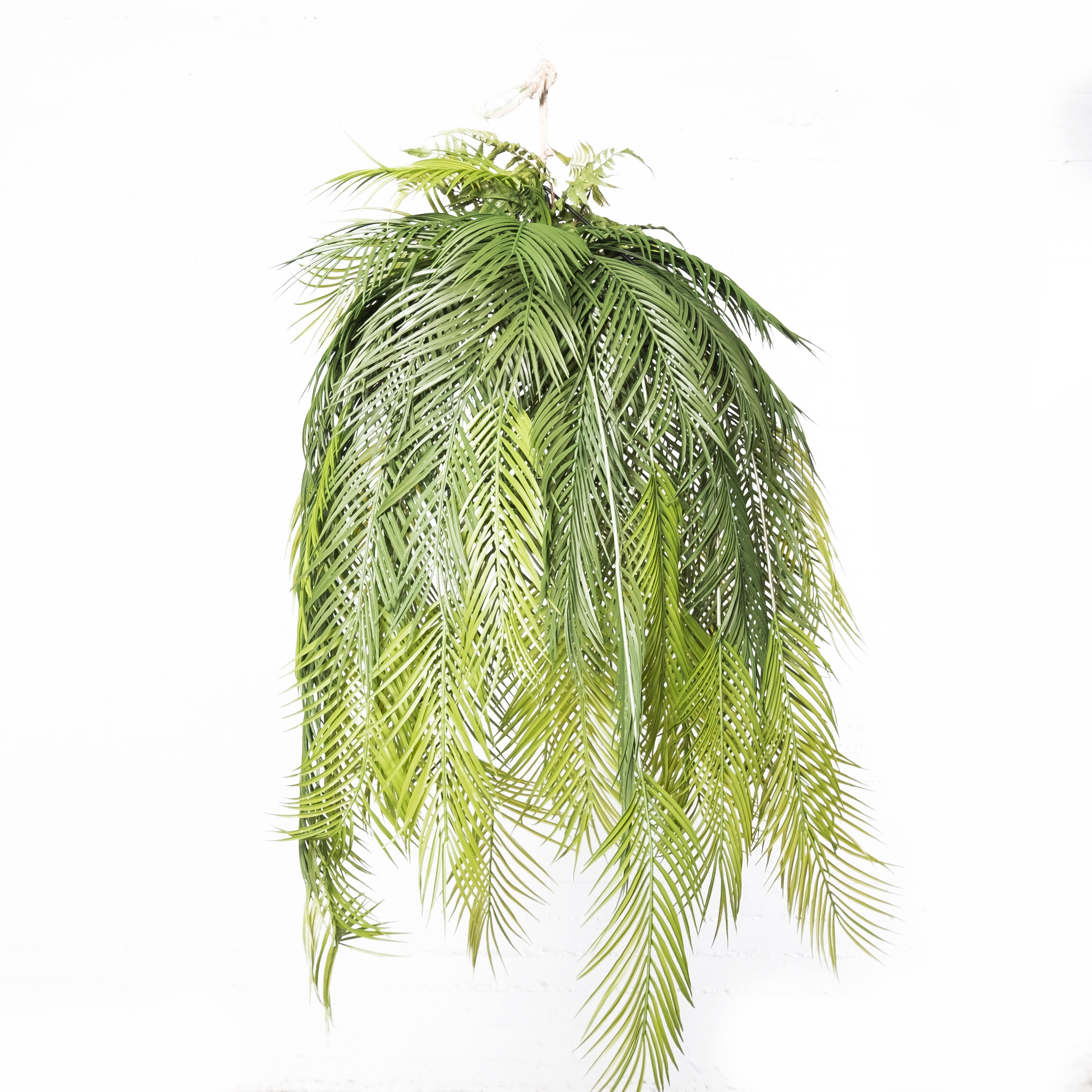 Supergreens Τεχνητή Κρεμαστή Ρίζα/Φωτιστικό Αρέκα "Malagasy" Πράσινη 142 εκ. RIZA