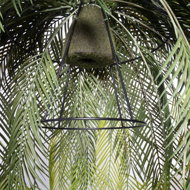 Supergreens Τεχνητή Κρεμαστή Ρίζα/Φωτιστικό...