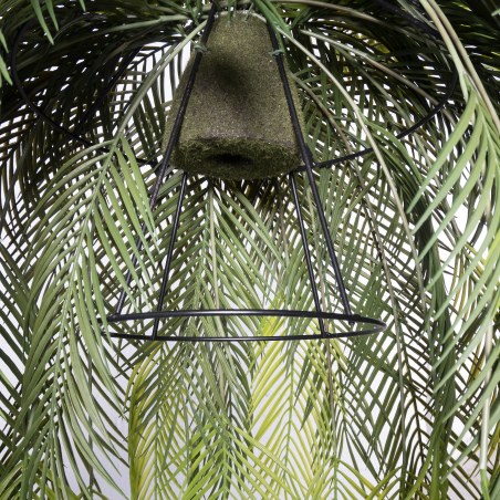 Supergreens Τεχνητή Κρεμαστή Ρίζα/Φωτιστικό Αρέκα "Malagasy" Πράσινη 142 εκ. RIZA