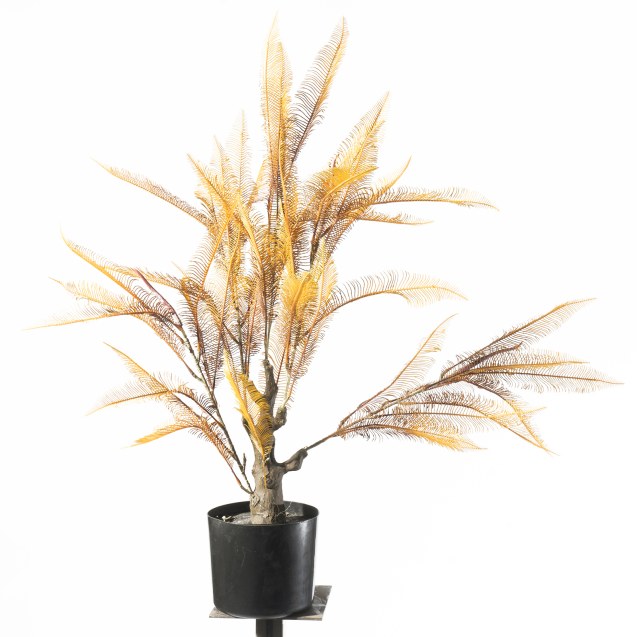 Supergreens Τεχνητό Φυτό Φτέρη "Maidenhair"...