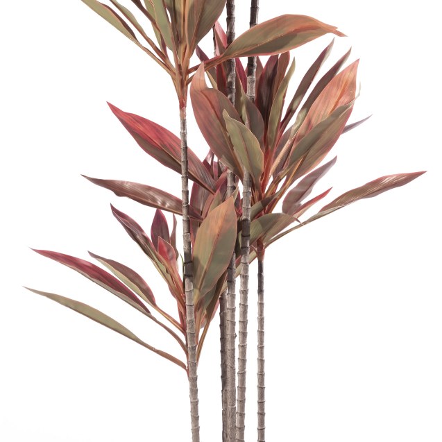 Supergreens Τεχνητο Δέντρο Δράκαινα "Cordyline"...