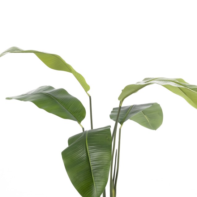 Supergreens Τεχνητο Δέντρο Πουλί του Παραδείσου...