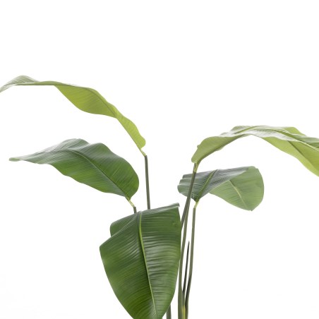 Supergreens Τεχνητο Δέντρο Πουλί του Παραδείσου "Strelitzia Nicolais" Πράσινο 120 εκ.