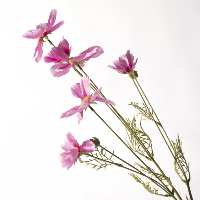 Supergreens Τεχνητό Κλωνάρι Κόσμος Μωβ 92 εκ.