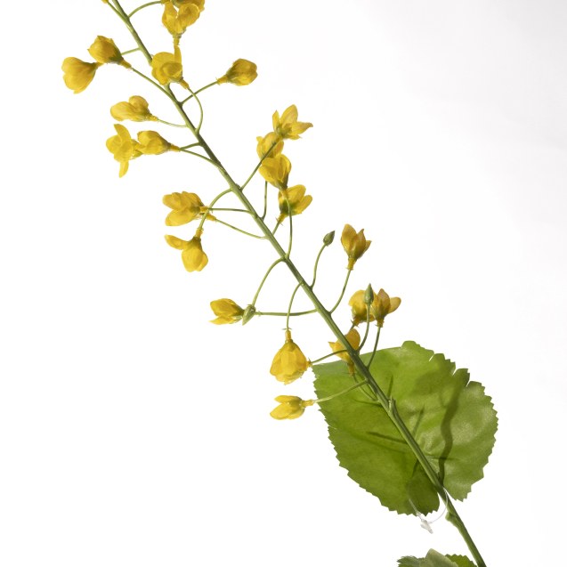 Supergreens Τεχνητό Κλωνάρι Καμπανούλα Κίτρινο...