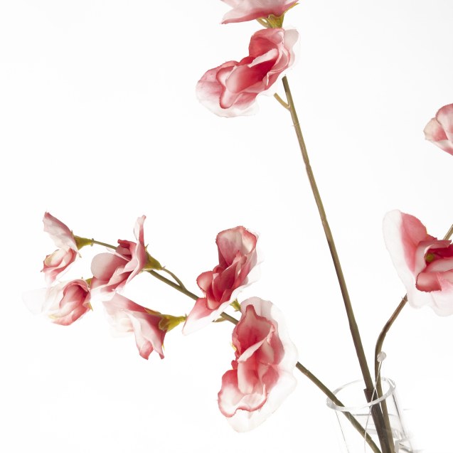 Supergreens Τεχνητό Κλωνάρι Μοσχομπίζελο Ροζ 57...