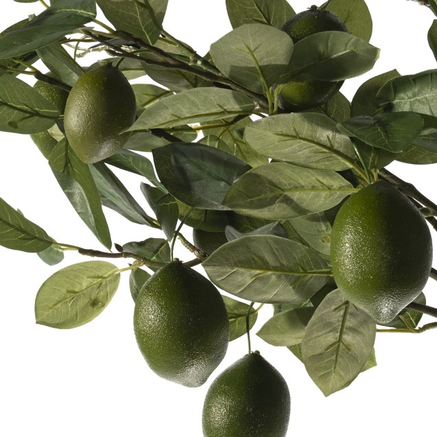 Supergreens Τεχνητό Μπουκέτο Λεμόνι Πράσινο 60 εκ.