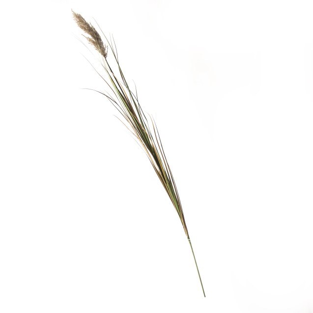 Supergreens Τεχνητό Κλαδί Πάμπας Φυσικό 140 εκ.