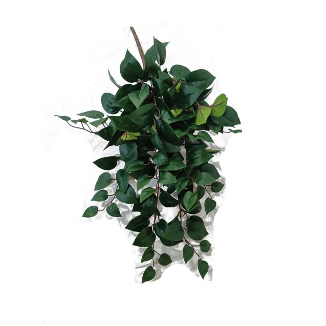 Supergreens Τεχνητός Κρεμαστός Φίκος "Lunara"...