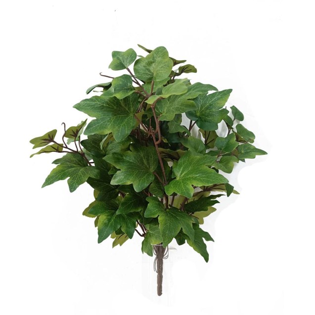 Supergreens Τεχνητός Χωνευτός Κισσός "Alaris"...