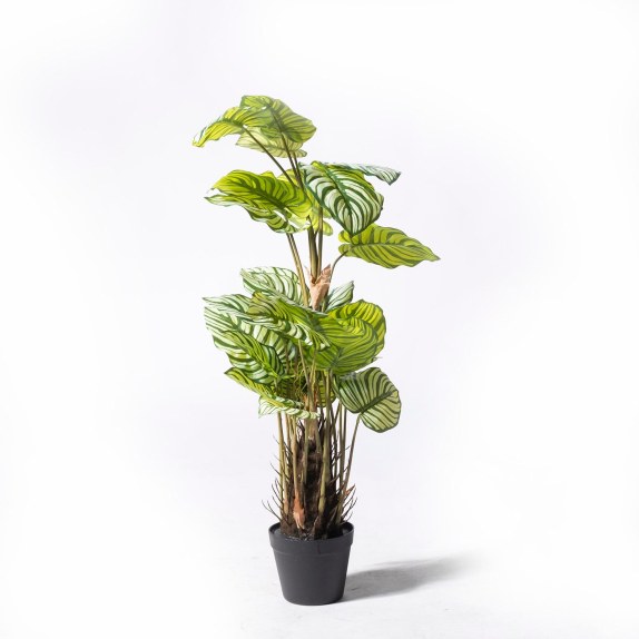 Supergreens Τεχνητό Φυτό Καλαθέα Orbifolia Πράσινο 90 εκ.