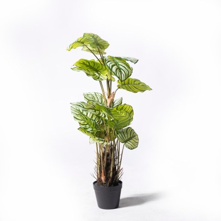 Supergreens Τεχνητό Φυτό Καλαθέα Orbifolia Πράσινο 90 εκ.