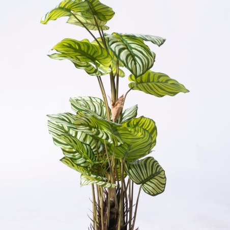 Supergreens Τεχνητό Φυτό Καλαθέα Orbifolia Πράσινο 90 εκ.