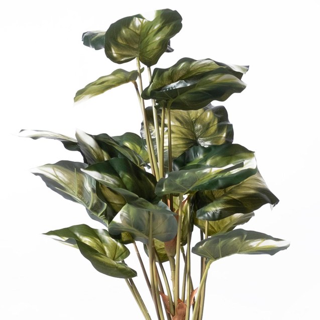 Supergreens Τεχνητό Φυτό Πόθος Golden Πράσινος...