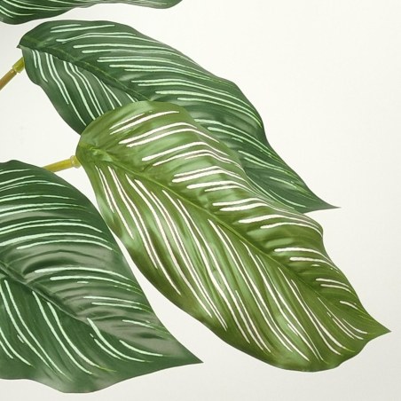 Supergreens Τεχνητό Φυτό Καλαθέα Sanderiana Πράσινη 65 εκ.