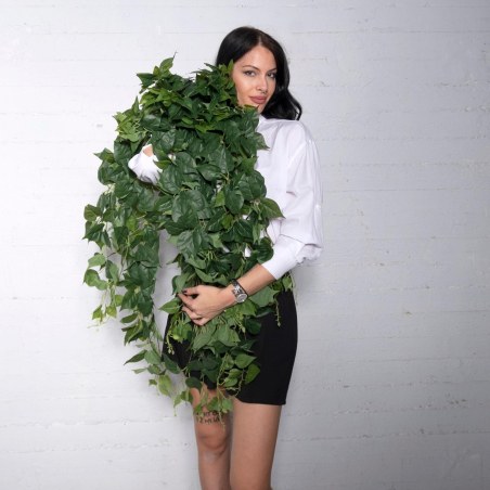 Supergreens Τεχνητός Κρεμαστός Πόθος Πράσινος 110 εκ.