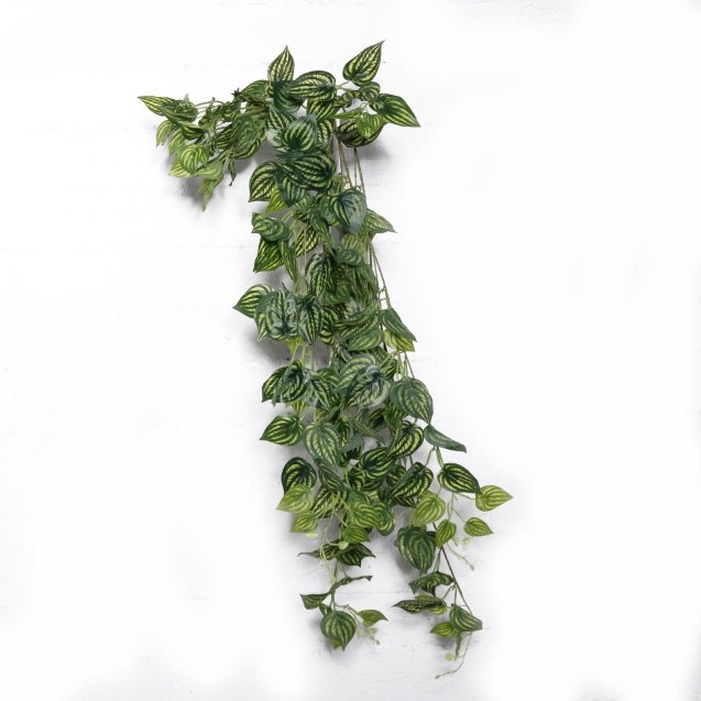 Supergreens Τεχνητή Κρεμαστή Φιτόνια Albivenis...