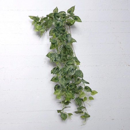 Supergreens Τεχνητή Κρεμαστή Φιτόνια Albivenis Πράσινη 110 εκ.