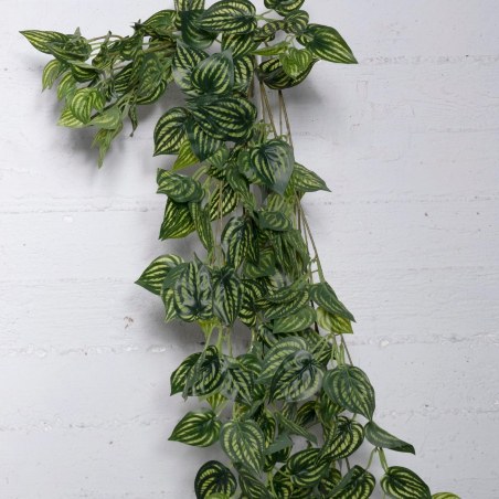 Supergreens Τεχνητή Κρεμαστή Φιτόνια Albivenis Πράσινη 110 εκ.