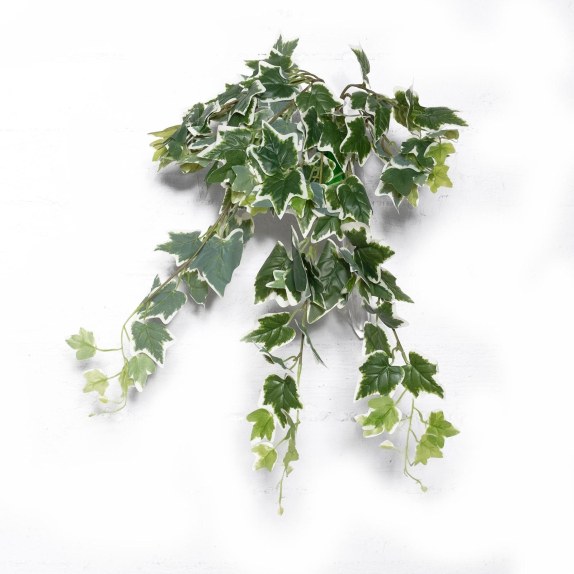 Supergreens Τεχνητός Κρεμαστός Κισσός Πανασέ Πράσινος 65 εκ.