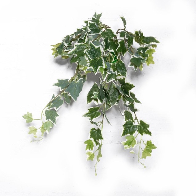 Supergreens Τεχνητός Κρεμαστός Κισσός Πανασέ...