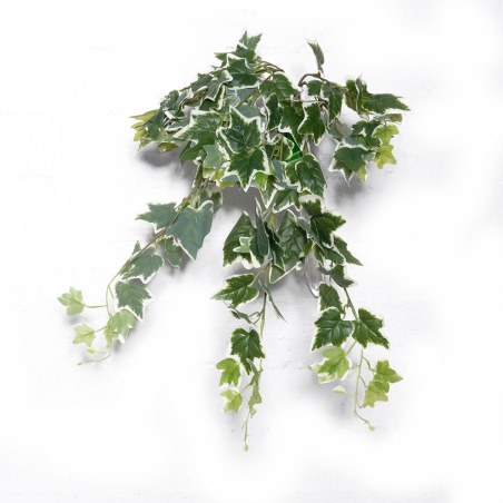 Supergreens Τεχνητός Κρεμαστός Κισσός Πανασέ Πράσινος 65 εκ.