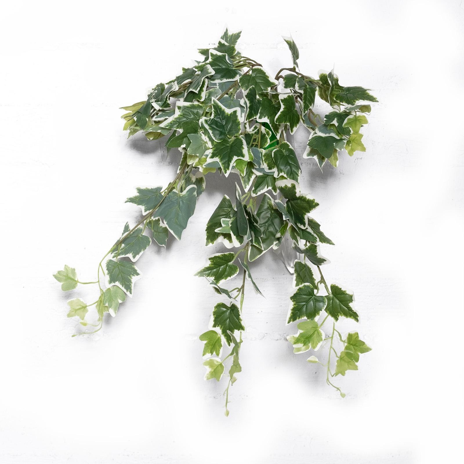 Supergreens Τεχνητός Κρεμαστός Κισσός Πανασέ Πράσινος 65 εκ.