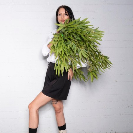 Supergreens Τεχνητό Κρεμαστό Μπαμπού Πράσινο 85 εκ.