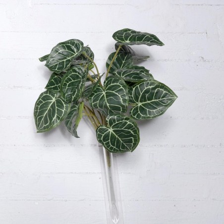 Supergreens Τεχνητό Χωνευτό Ανθούριο Clarinervium Πράσινο 55 εκ.