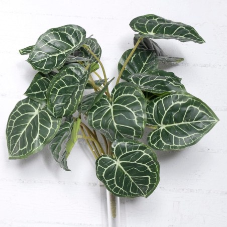 Supergreens Τεχνητό Χωνευτό Ανθούριο Clarinervium Πράσινο 55 εκ.