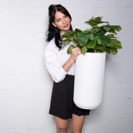 Supergreens Τεχνητό Χωνευτό Φιλόδεντρο Πράσινο 45 εκ.