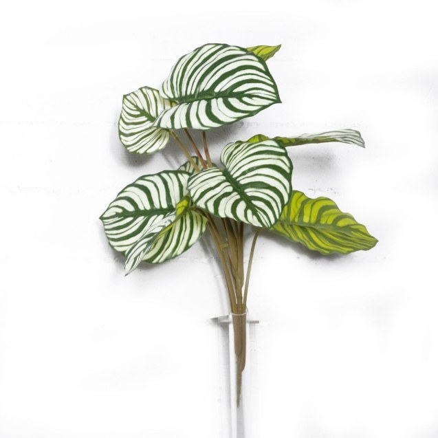 Supergreens Τεχνητή Χωνευτή Καλαθέα Orbifolia...