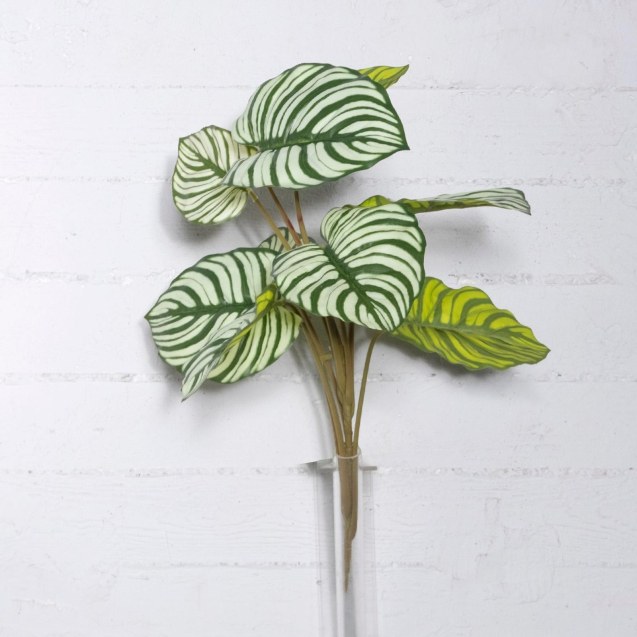 Supergreens Τεχνητή Χωνευτή Καλαθέα Orbifolia...