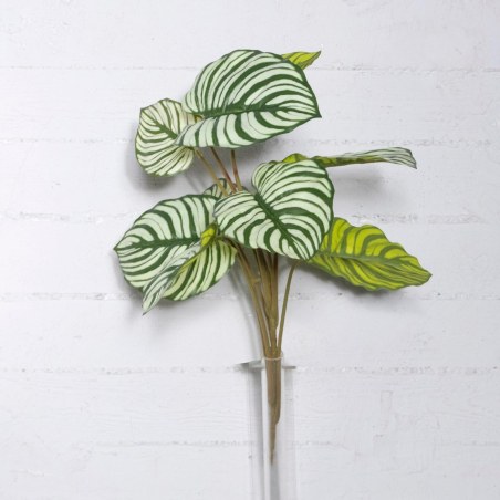 Supergreens Τεχνητή Χωνευτή Καλαθέα Orbifolia Πράσινη 60 εκ.