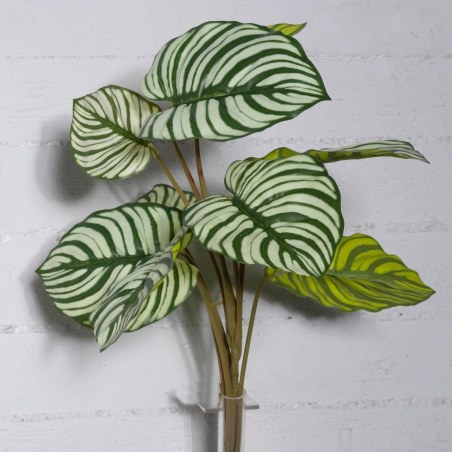 Supergreens Τεχνητή Χωνευτή Καλαθέα Orbifolia Πράσινη 60 εκ.