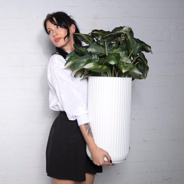 Supergreens Τεχνητός Χωνευτός Πόθος Golden...