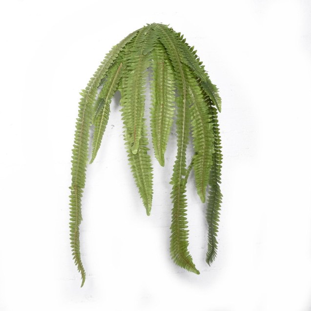 Supergreens Τεχνητή Κρεμαστή Φτέρη Boston...