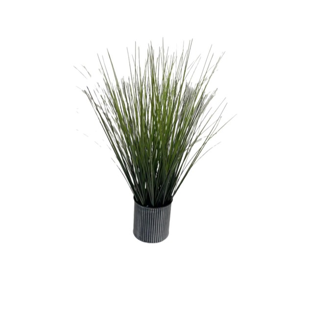 Supergreens Τεχνητό Φυτό Χορτάρι "Onion"...