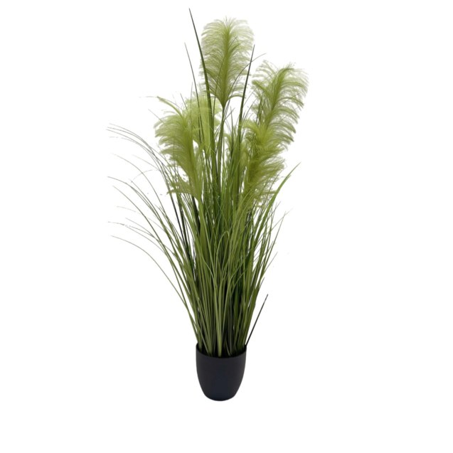 Supergreens Τεχνητό Φυτό  Χορτάρι "Reed"...