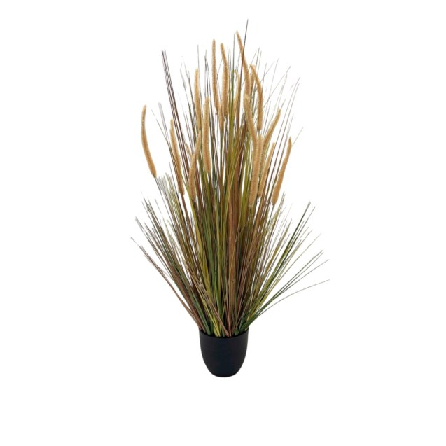 Supergreens Τεχνητό Φυτό  Χορτάρι "Dog Tail"...